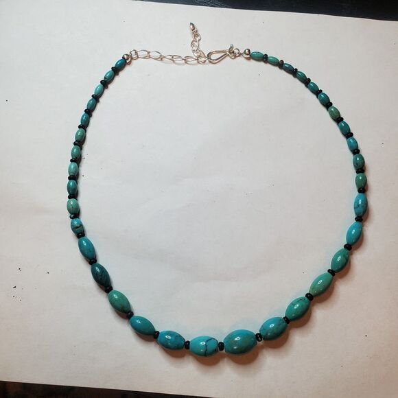JAY KING MINE FINDS Turquoise Single Strand Necklace Iron Mountain, China. - Picture 1 of 5